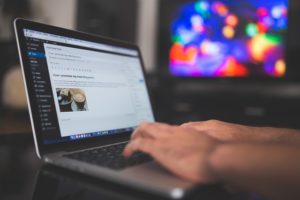  web-developer 