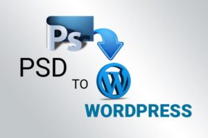 role-importance-psd-wordpress-themes